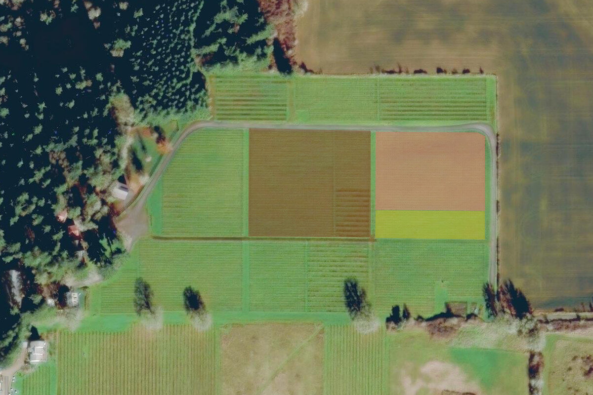 Dry Well Vineyard